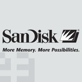 Sandisk 1